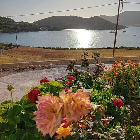 Aggeliki'S Apartments İİlipsi Dış mekan fotoğraf
