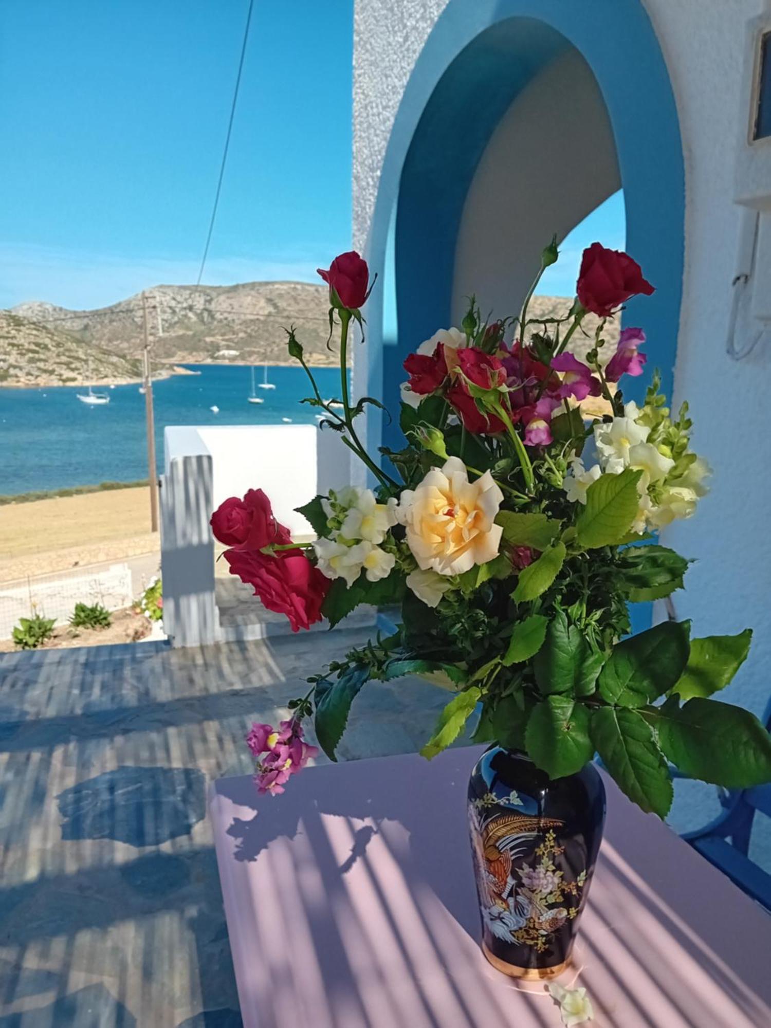 Aggeliki'S Apartments İİlipsi Dış mekan fotoğraf