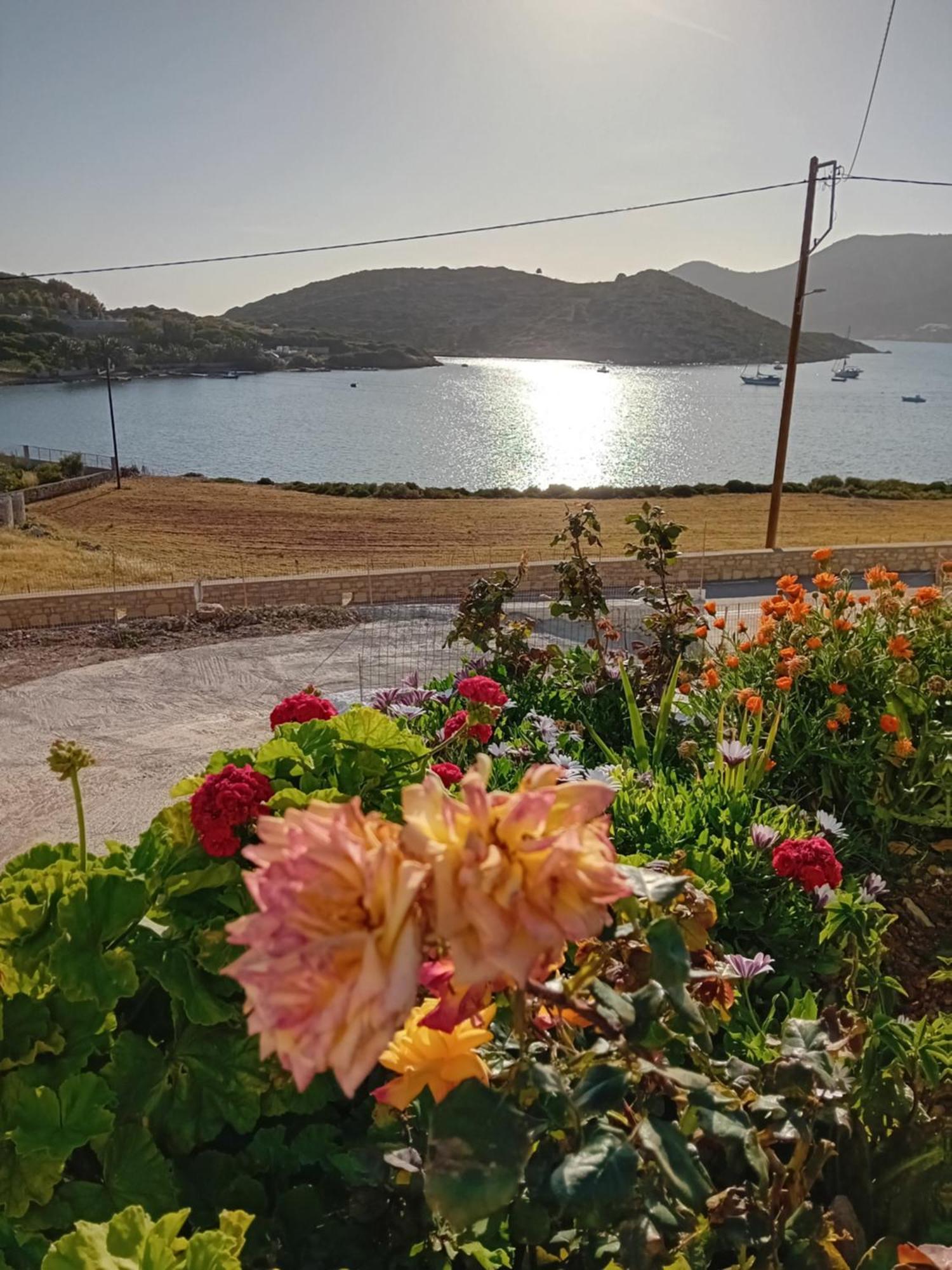 Aggeliki'S Apartments İİlipsi Dış mekan fotoğraf